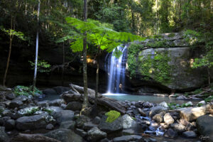 Photo Of Buderim Falls, With Beautiful Green Ferns, Moss And Trees Surrounding The Waterfall. Various Framing Options And Canvas Prints